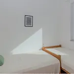 San Ray * Privlaka (Zadar)